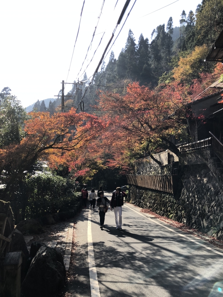 f:id:nomore1013:20181112073926j:plain