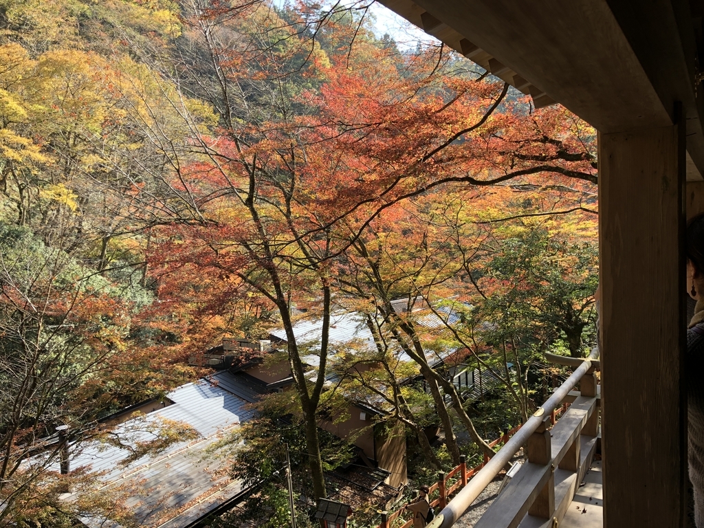 f:id:nomore1013:20181112074008j:plain