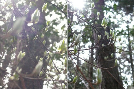 f:id:nomrakenta:20090328102819j:image