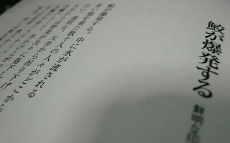 f:id:nomrakenta:20090416020115j:image