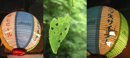 f:id:nomrakenta:20090530160954j:image