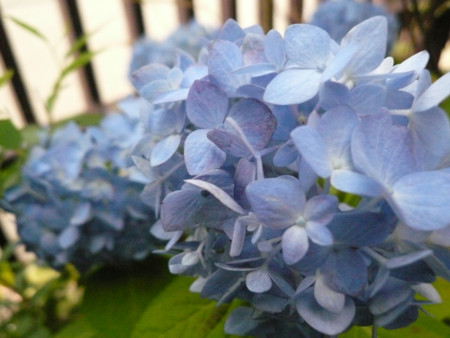 f:id:nomrakenta:20090607162448j:image