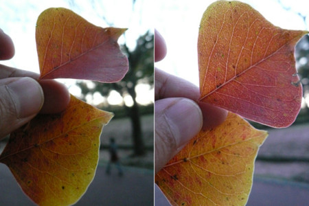 f:id:nomrakenta:20091114161940j:image
