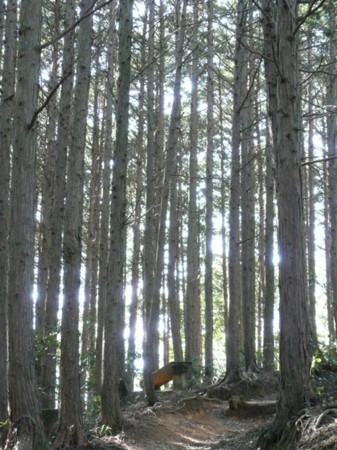 f:id:nomrakenta:20100213135843j:image