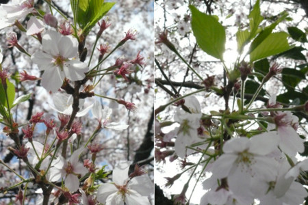 f:id:nomrakenta:20100410135800j:image f:id:nomrakenta:20100410135800j:image