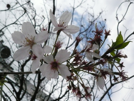f:id:nomrakenta:20100410140612j:image f:id:nomrakenta:20100410140612j:image