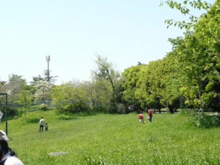 f:id:nomrakenta:20100503104404j:image f:id:nomrakenta:20100503104404j:image