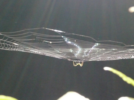 f:id:nomrakenta:20100717095001j:image