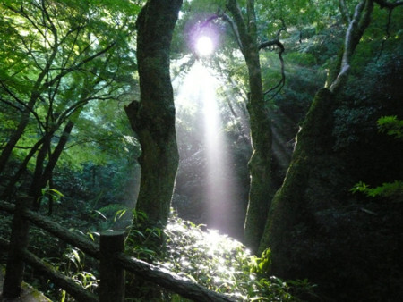 f:id:nomrakenta:20100807070518j:image