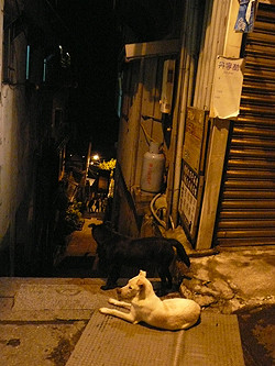 f:id:nomrakenta:20100923214116j:image