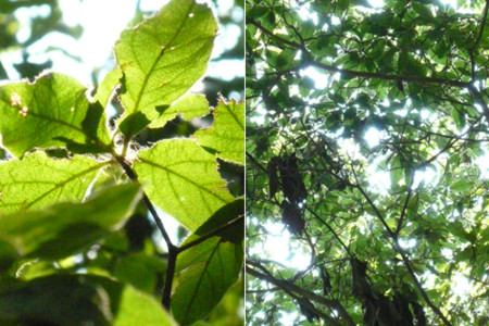 f:id:nomrakenta:20101002093205j:image