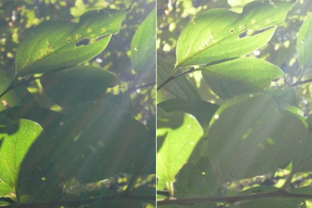 f:id:nomrakenta:20101002095203j:image