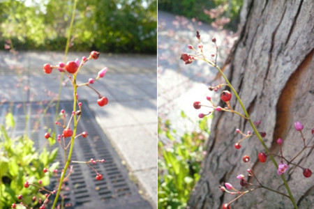 f:id:nomrakenta:20101106144255j:image