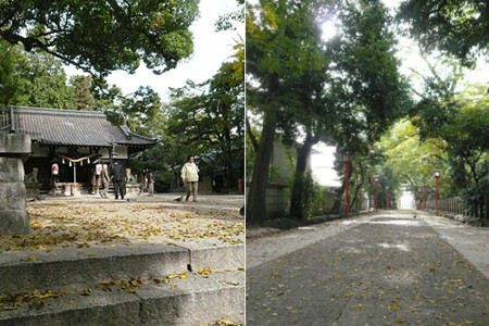 f:id:nomrakenta:20101113095534j:image