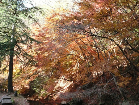 f:id:nomrakenta:20101127090400j:image