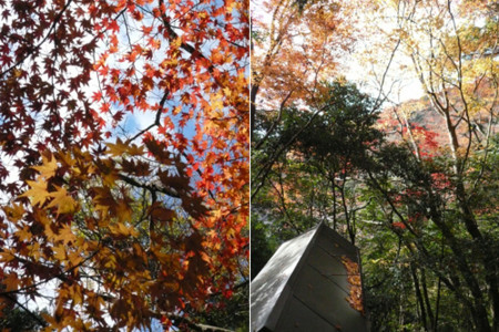 f:id:nomrakenta:20101127090544j:image
