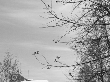 f:id:nomrakenta:20110206135051j:image