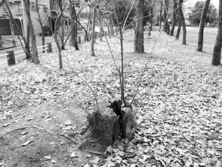 f:id:nomrakenta:20110206135148j:image