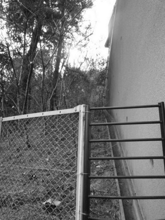 f:id:nomrakenta:20110206135502j:image