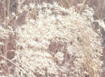 f:id:nomrakenta:20110206145747j:image