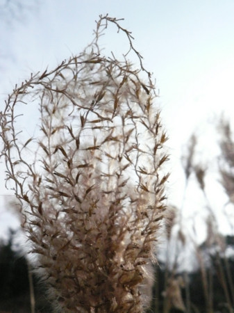 f:id:nomrakenta:20110206145930j:image