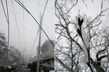 f:id:nomrakenta:20110211095557j:image