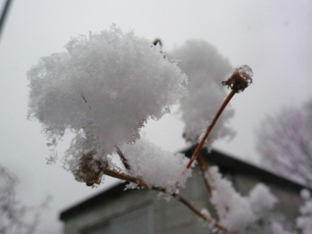 f:id:nomrakenta:20110211100834j:image