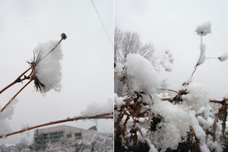 f:id:nomrakenta:20110211100858j:image