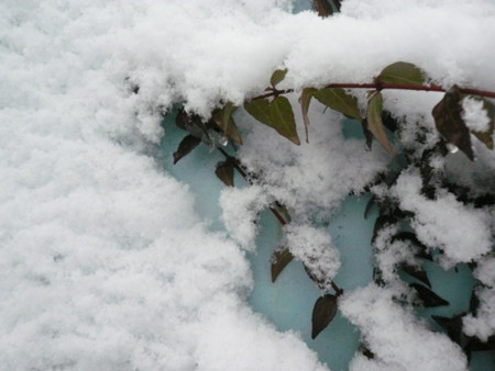 f:id:nomrakenta:20110211101232j:image