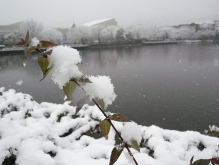 f:id:nomrakenta:20110211101248j:image