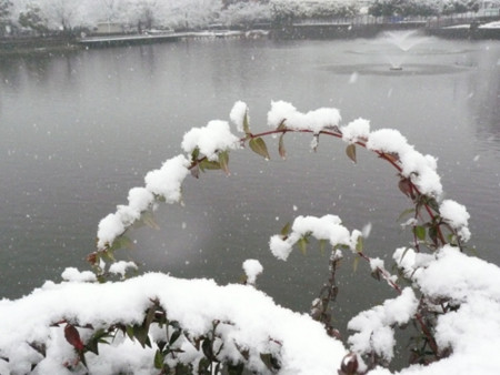 f:id:nomrakenta:20110211101301j:image