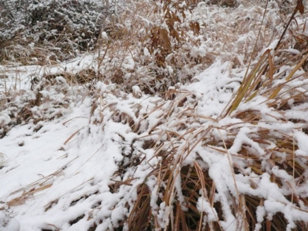 f:id:nomrakenta:20110211112041j:image