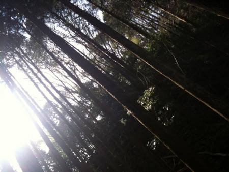 f:id:nomrakenta:20110220234708j:image