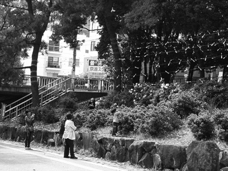 f:id:nomrakenta:20110430145204j:image