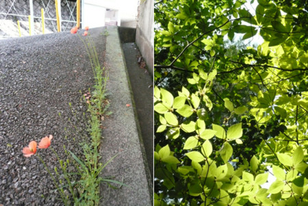 f:id:nomrakenta:20110514083254j:image