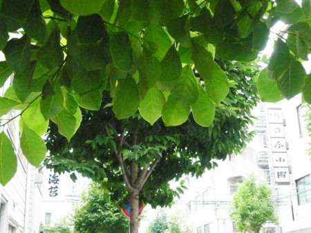 f:id:nomrakenta:20110703134029j:image