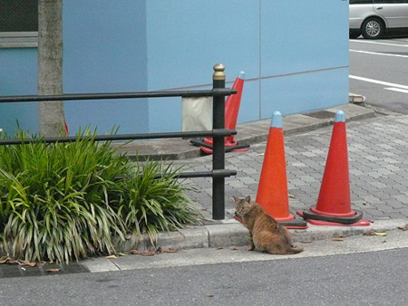 f:id:nomrakenta:20110703134201j:image