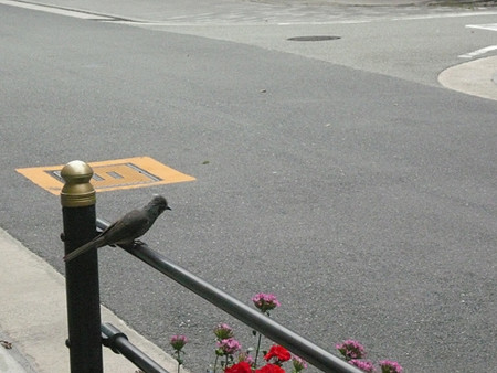 f:id:nomrakenta:20110703134213j:image