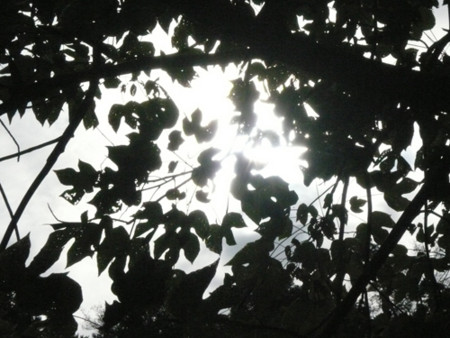 f:id:nomrakenta:20110925093043j:image