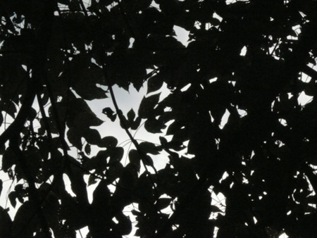 f:id:nomrakenta:20110925093106j:image