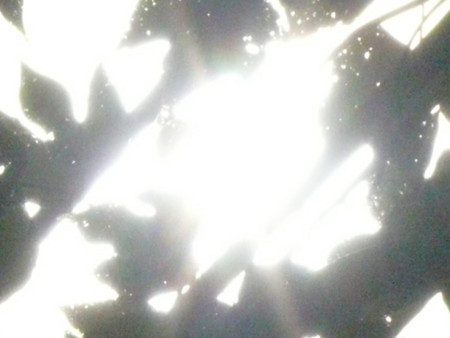 f:id:nomrakenta:20110925093143j:image