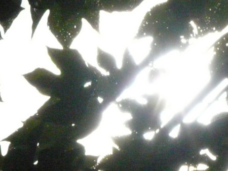 f:id:nomrakenta:20110925093147j:image