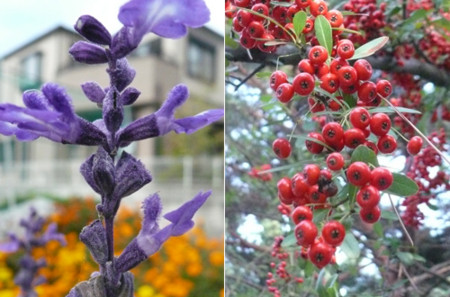f:id:nomrakenta:20111029151736j:image f:id:nomrakenta:20111029151736j:image