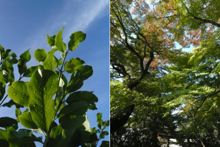 f:id:nomrakenta:20111112100146j:image f:id:nomrakenta:20111112100146j:image