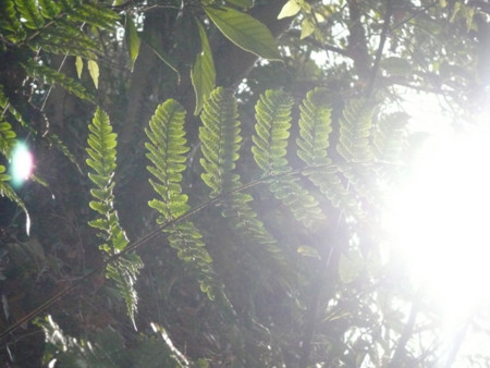 f:id:nomrakenta:20120109115331j:image