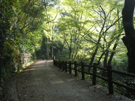 f:id:nomrakenta:20120421071855j:image