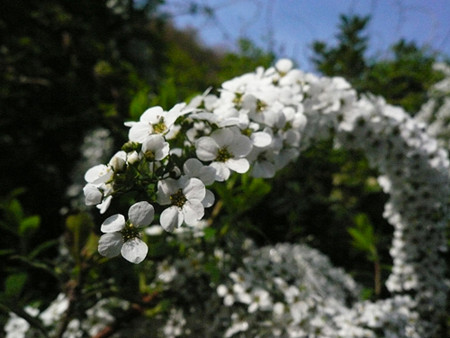 f:id:nomrakenta:20120421073902j:image