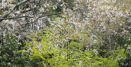 f:id:nomrakenta:20120421095959j:image