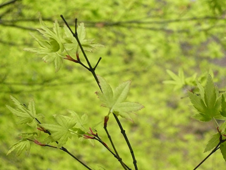f:id:nomrakenta:20120421100437j:image