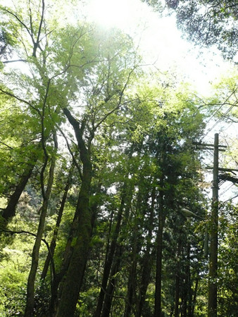 f:id:nomrakenta:20120421103113j:image